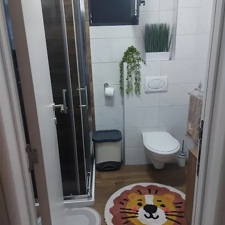 Viva Lux ソコバニャ