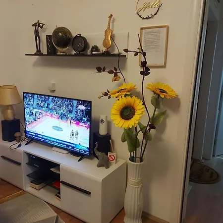 Viva Lux * Sokobanja