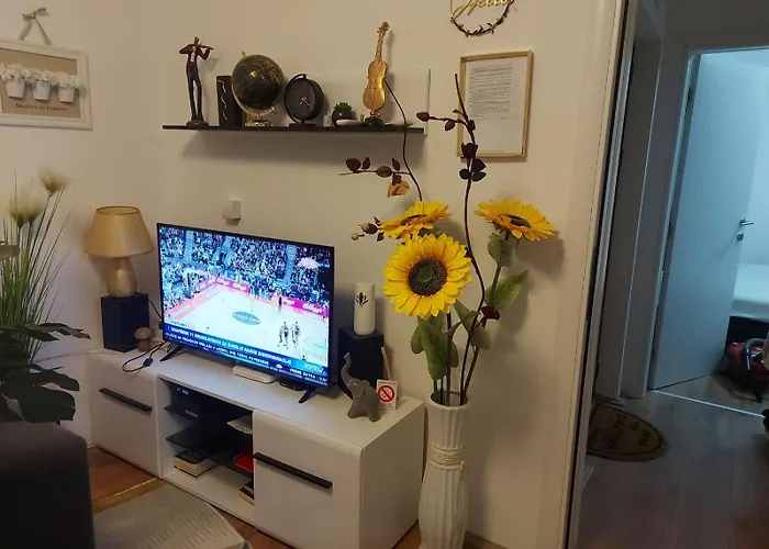 Viva Lux * Soko Banja